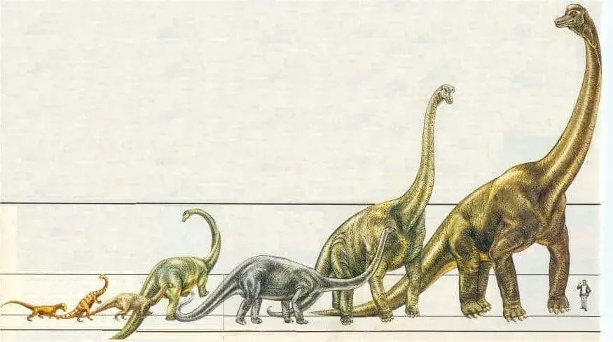 Dinozauri terestri
