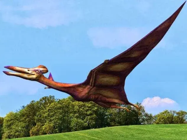 Dinosaurios Voladores