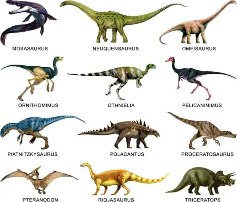 Especies de dinosaurios